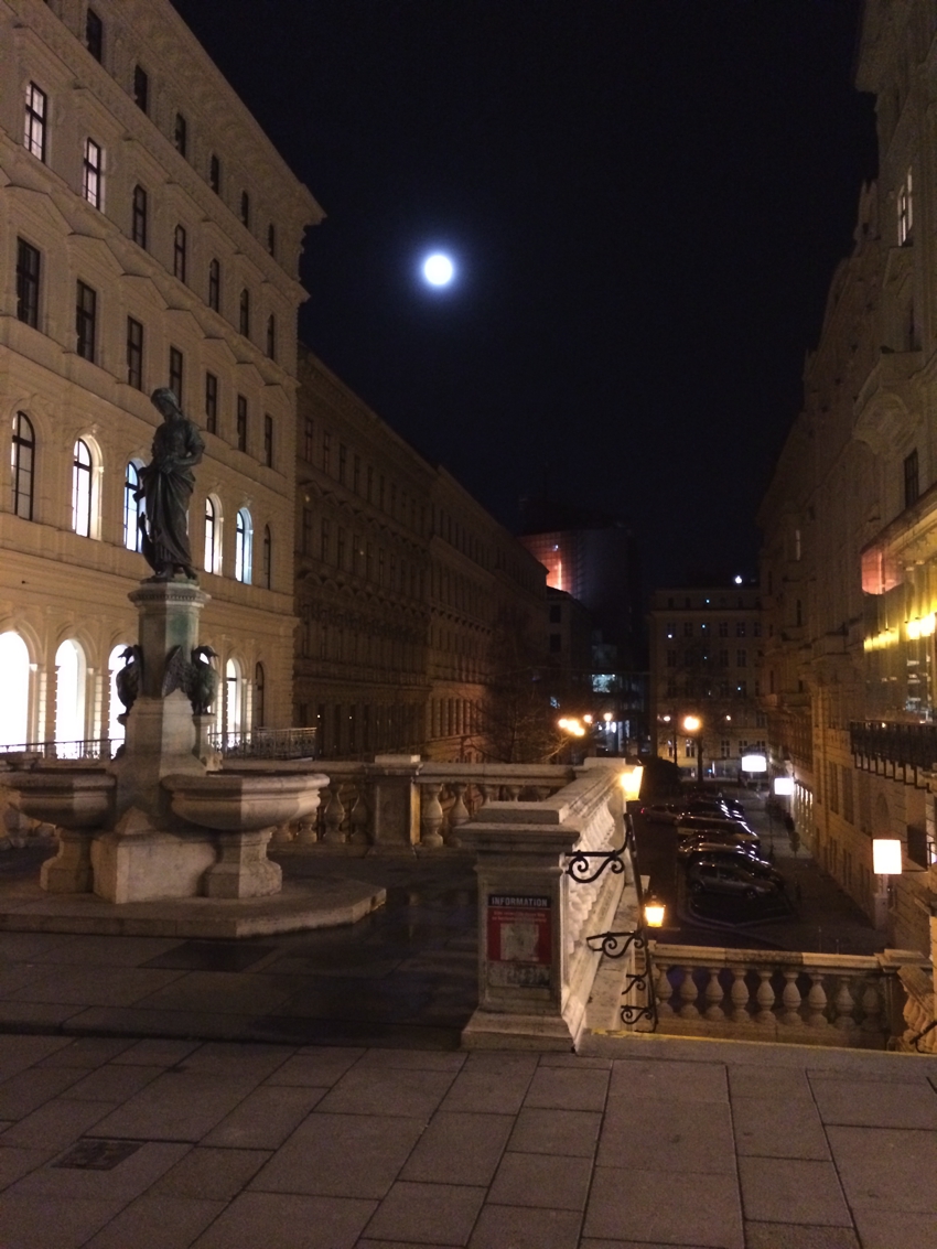 Viena martie 2014-43
