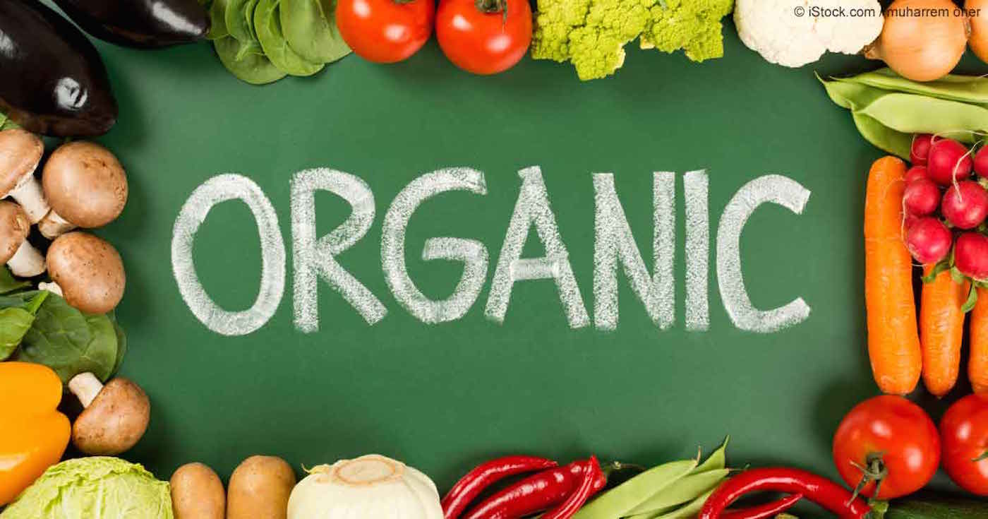 organic-food-on-board-fb